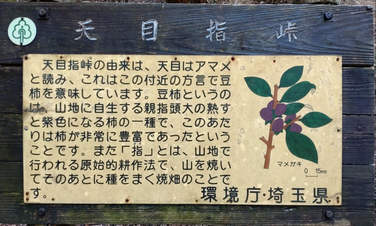 天目指峠（飯能アルプスと県道395号線の交差点）案内板