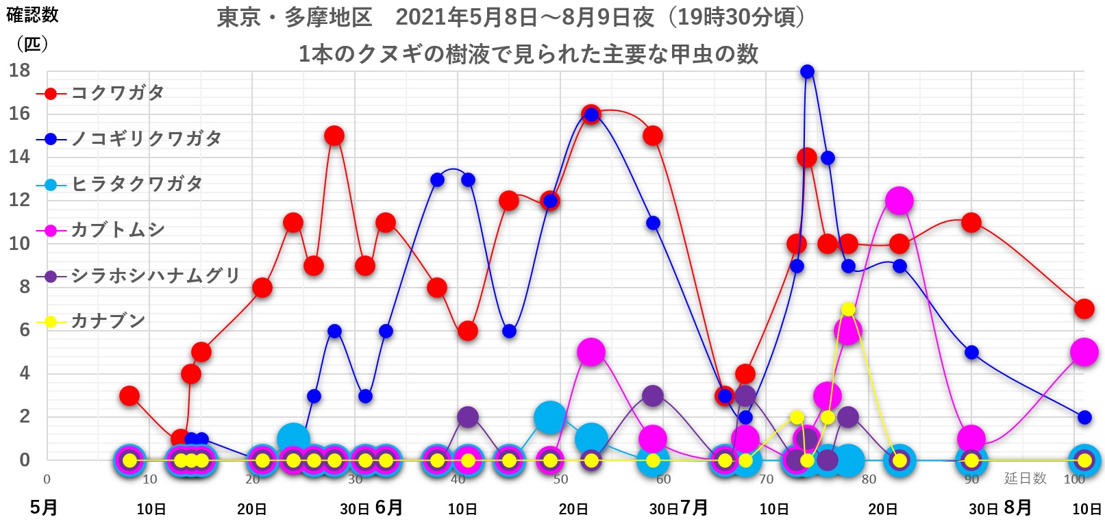 2021年5月8日～8月9日にかけて東京（多摩地域）の1本のクヌギで夜に見られたクワガタムシやカブトムシの数_20210813by昆虫バカセ