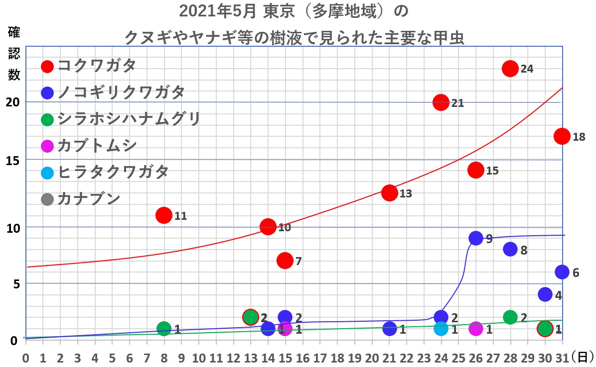 2021年5月東京（多摩地域）のクヌギやヤナギ等の樹液で見られたクワガタムシやカブトムシの数_20210601by昆虫バカセ