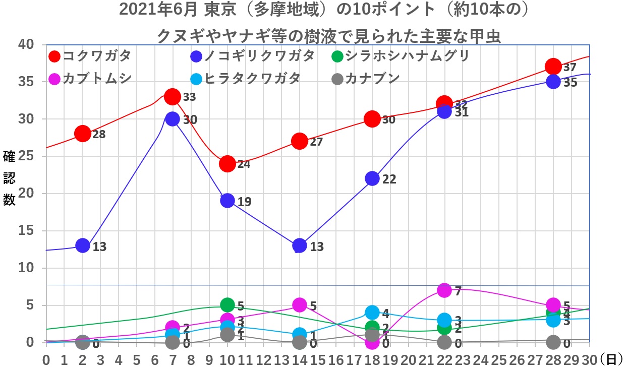 2021年6月東京（多摩地域）のクヌギやヤナギ等の樹液で見られたクワガタムシやカブトムシの数_20210630by昆虫バカセ