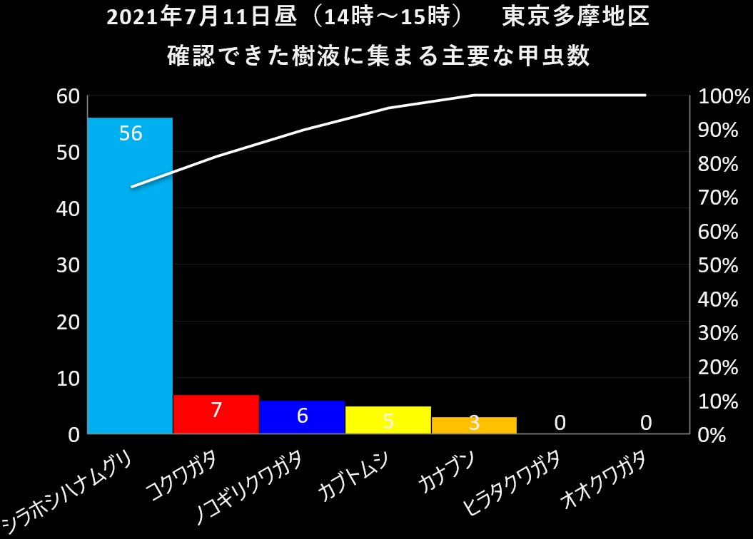 2021年7月11日昼（14時30分頃）東京（多摩地域）の樹液で見られる主要な甲虫数_20210712by昆虫バカセ