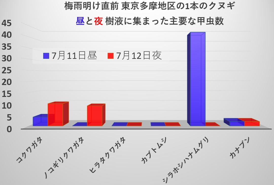 2021年東京多摩地区_梅雨明け直前_7月11日昼と7月12日夜_樹液に集まった主要な甲虫数_210713by昆虫バカセ