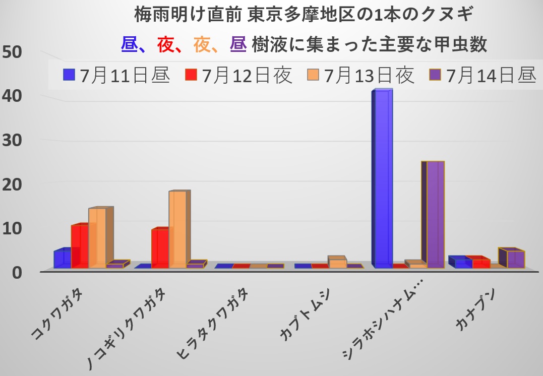2021年東京多摩地区_梅雨明け直前_7月11～14日_昼・夜・夜・昼_樹液に集まった主要な甲虫数_210714by昆虫バカセ