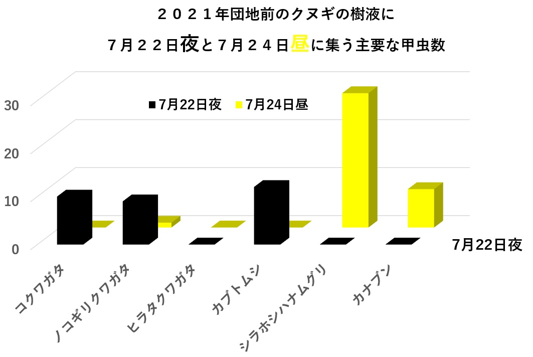 2021年７月２２日夜と７月２４日昼に団地前のクヌギに集まった主要な甲虫数_210725
