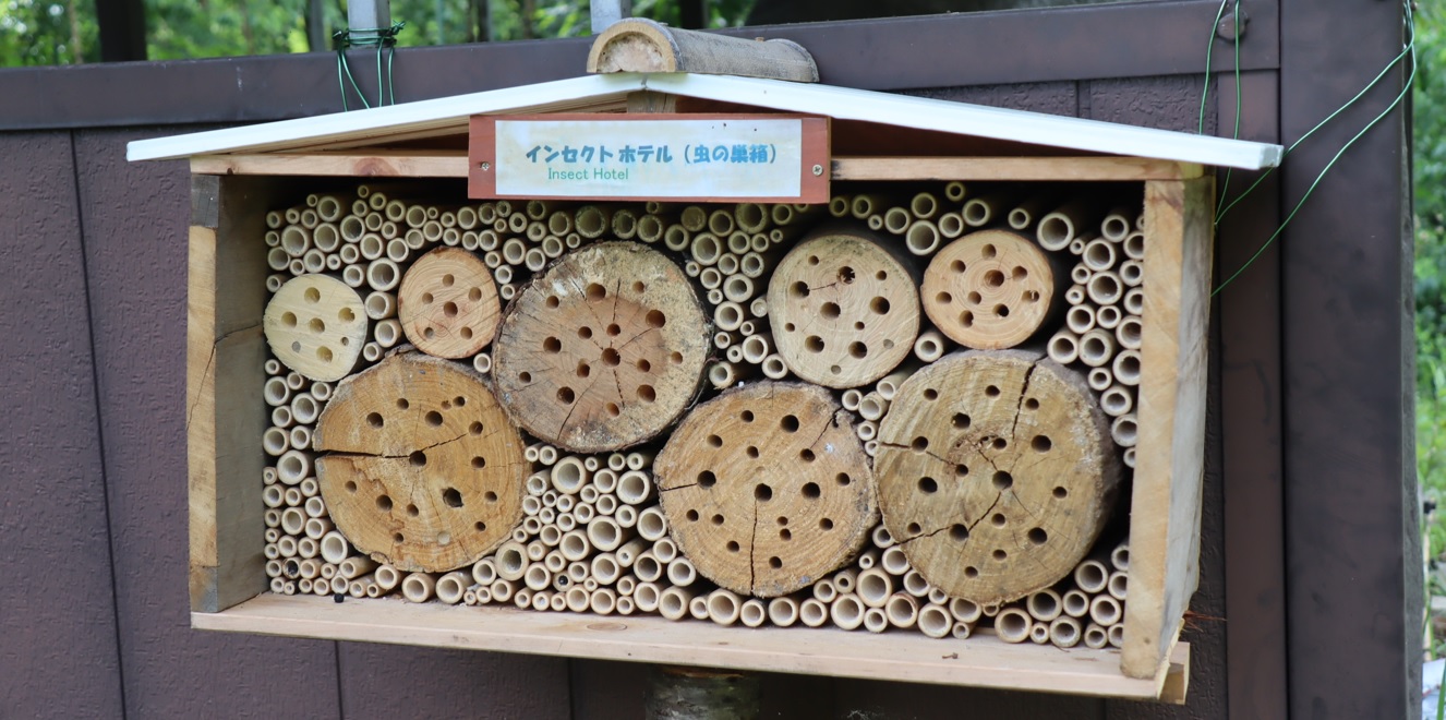 昆虫のホテル_昆虫バカセフィールド外_2023年6月26日15時50分気温27.5度