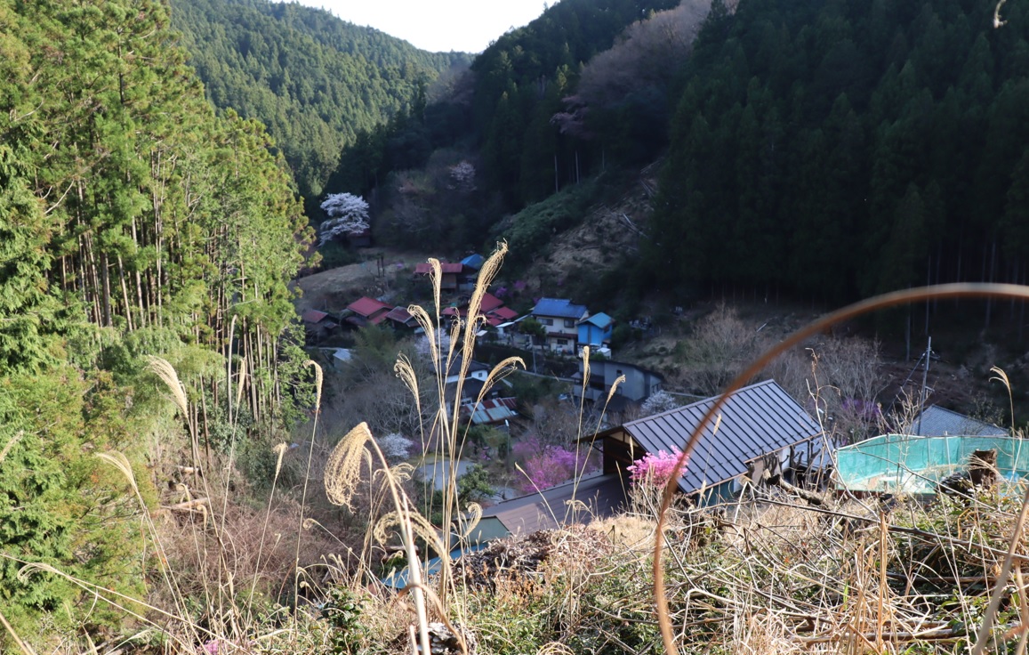 里山O近くの集落_2022年4月6日16時30分頃_気温18度