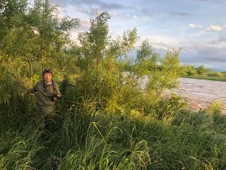 濁流横の深い水溜りにはまった昆虫バカセ