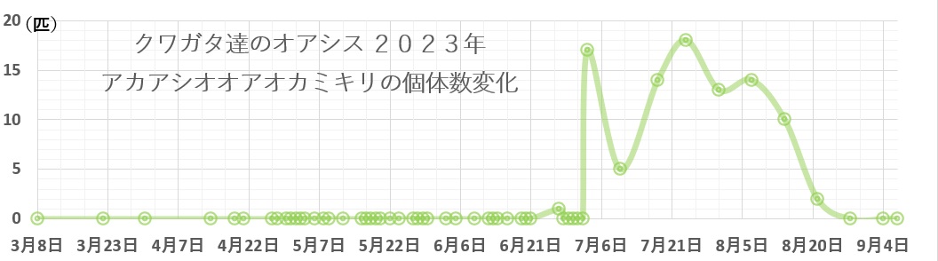 クワガタ達のオアシス2023年アカアシオオアオカミキリの個体数変化
