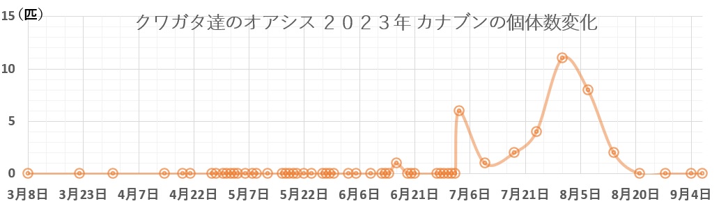 クワガタ達のオアシス2023年カナブンの個体数変化