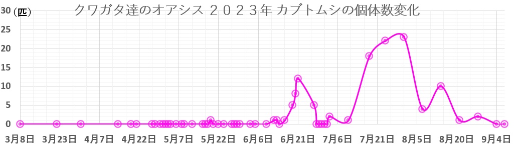 クワガタ達のオアシス2023年カブトムシの個体数変化