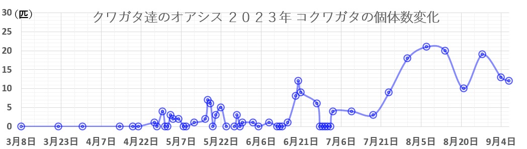 クワガタ達のオアシス2023年コクワガタの個体数変化