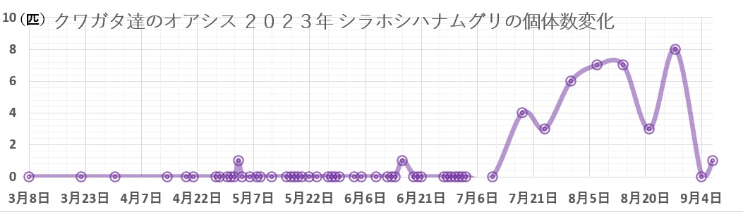 クワガタ達のオアシス2023年シラホシハナムグリの個体数変化