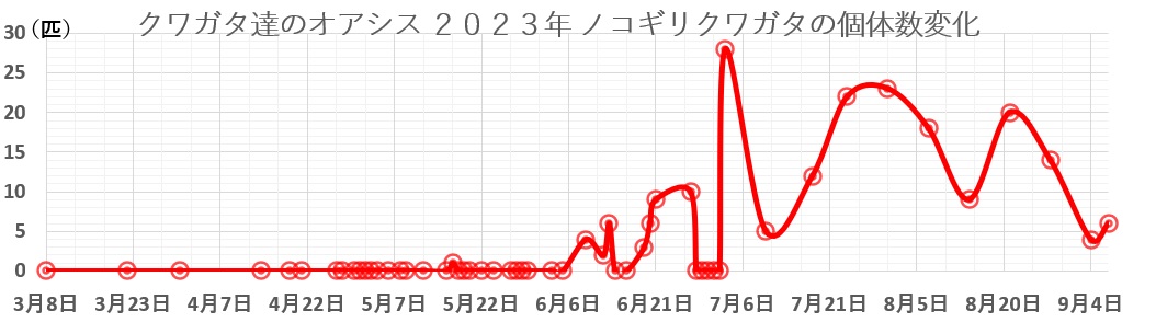 クワガタ達のオアシス2023年ノコギリクワガタの個体数変化