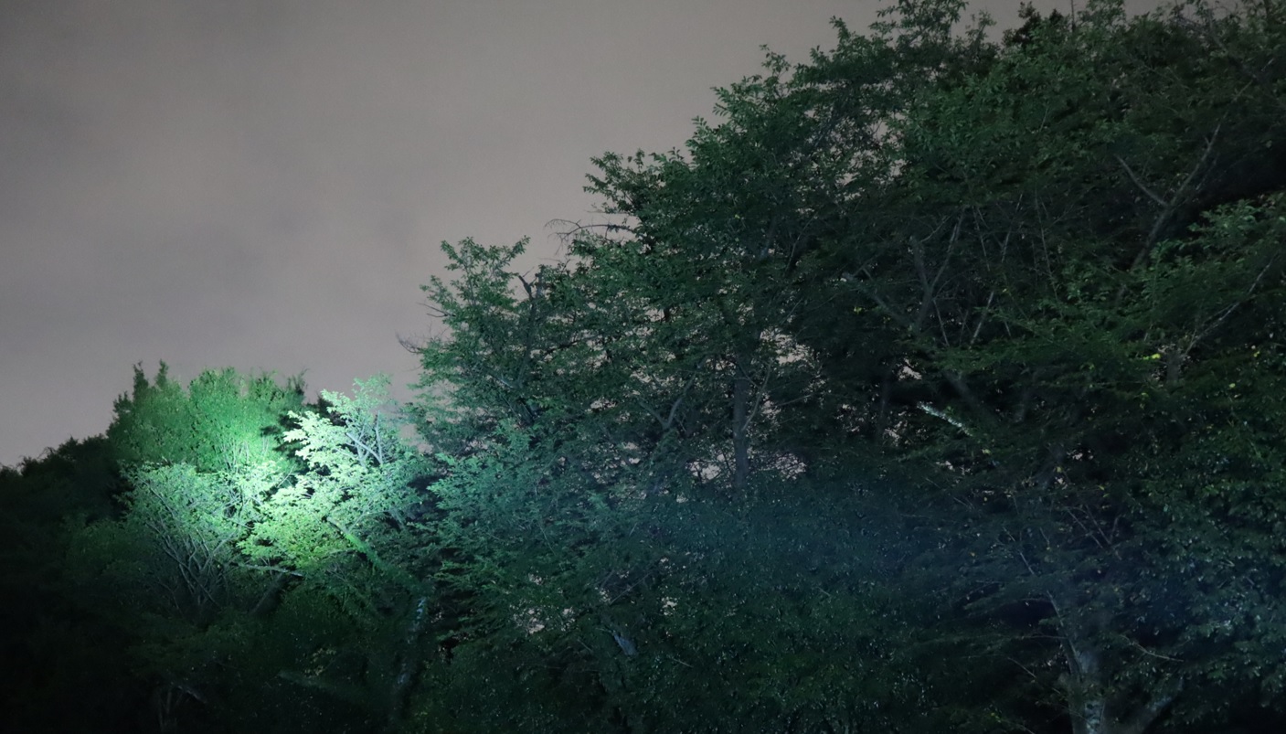 ライトウォッチング-2023年7月14日20時10分気温27度