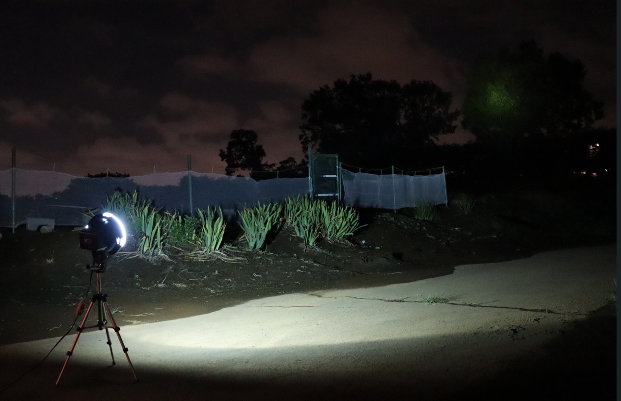 ライトウォッチング_クヌギ林から100m_2023年8月16日19時35分気温27度