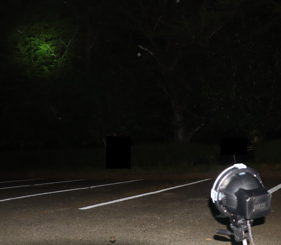 ライトウォッチングin昆虫バカセフィールド_2023年6月29日20時20分気温29度