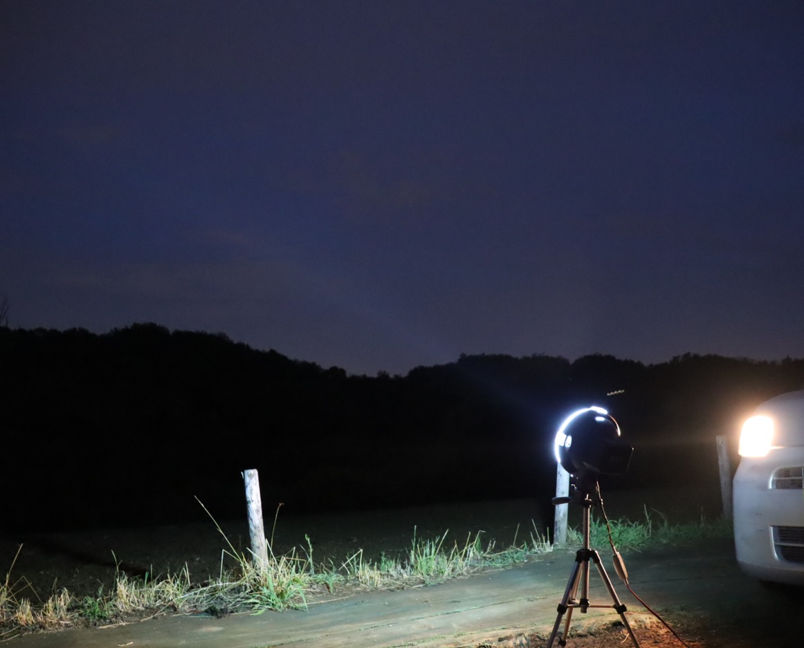 ライトウォッチング（光線の角度高）_里山ＭＨ_シラカシ_2023年7月7日19時40分気温27.1度