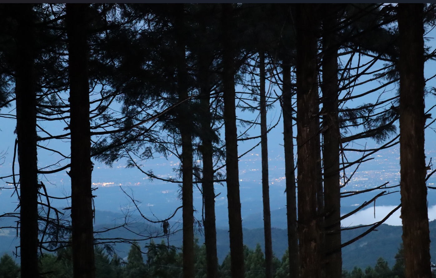 昆虫ライトウォッチング前-Ｏ峠付近からＣ市方面への眺望_2023年8月1日19時5分気温20度