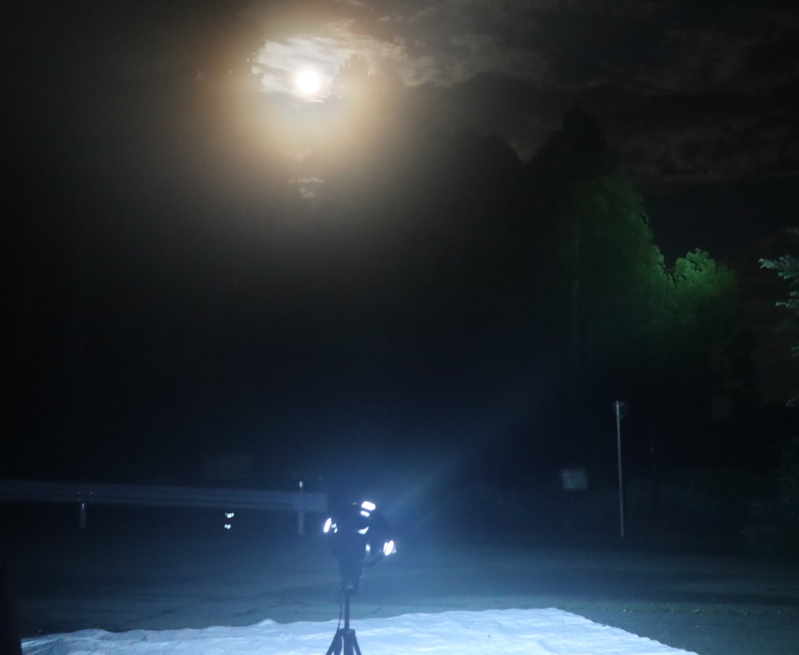 満月明かりと競合_昆虫ライトウォッチング-Ｔ峠_2023年8月1日20時40分気温20度