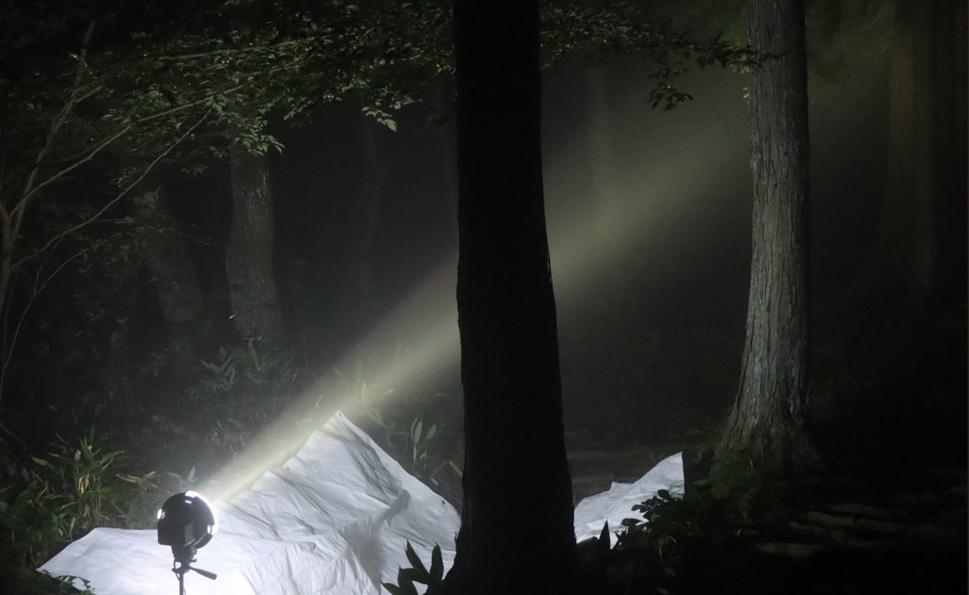 濃霧に覆われてきた_ライトウォッチング_標高855m-Ｏ峠_2023年7月20日19時55分気温19度