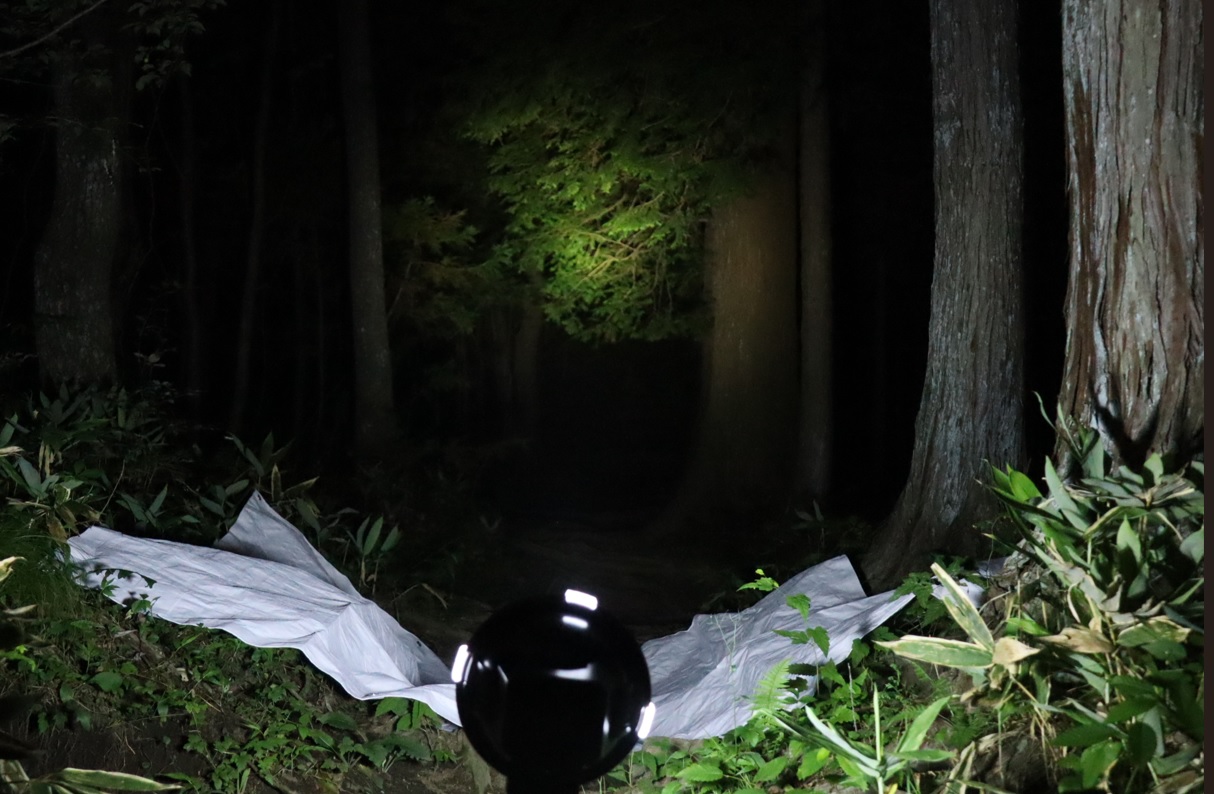 登山道に向けてライトウォッチングスタート_標高８５５ｍ-Ｏ峠_2023年7月20日19時10分気温21度