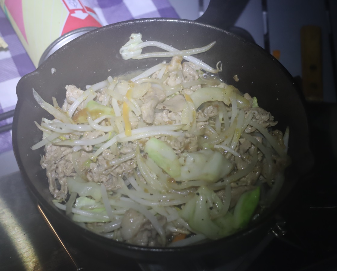 Ｉハカセの肉野菜炒め_昆虫ライトウォッチング-Ｔ峠_2023年8月1日20時35分気温20度